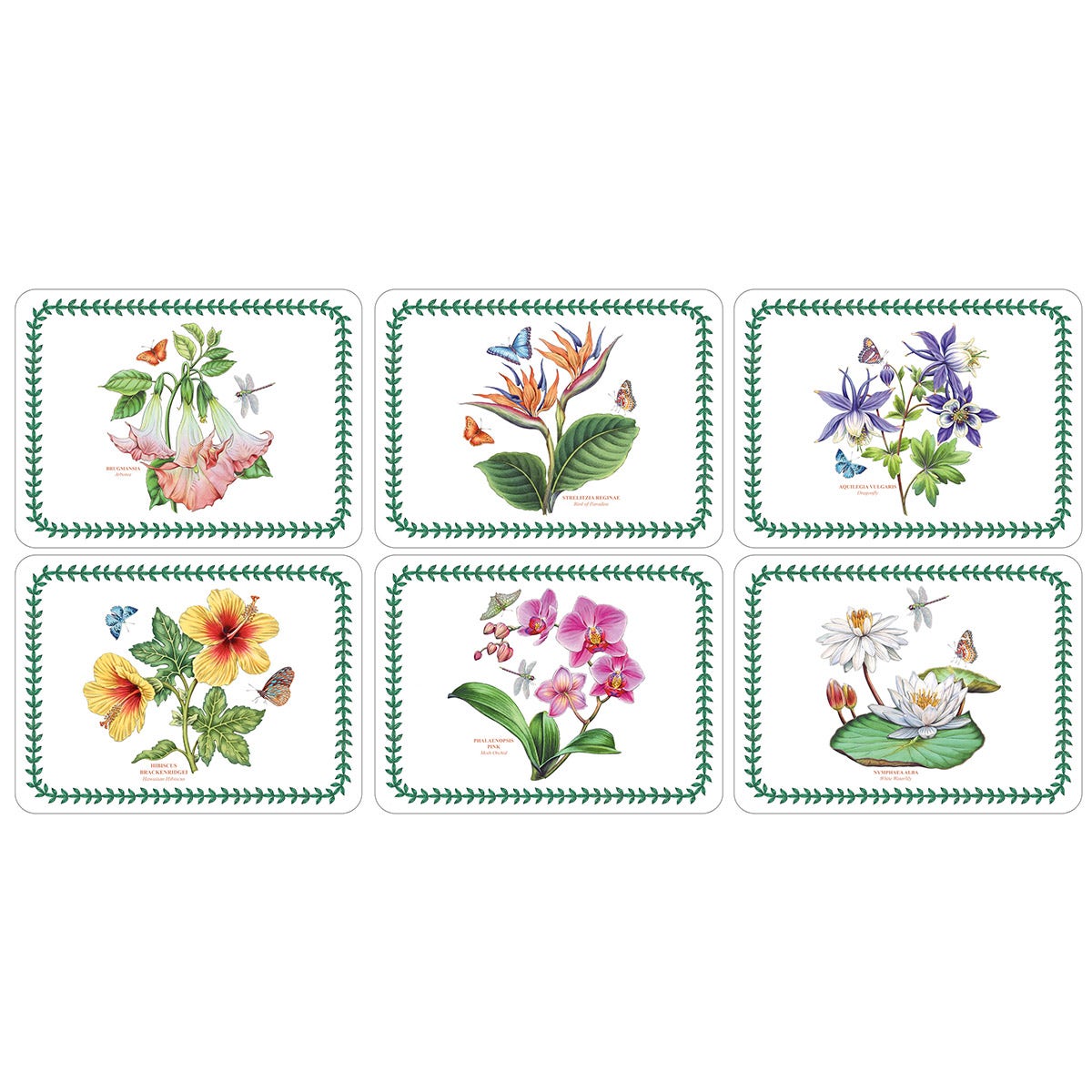 Exotic Botanic Garden Set of 6 Placemats