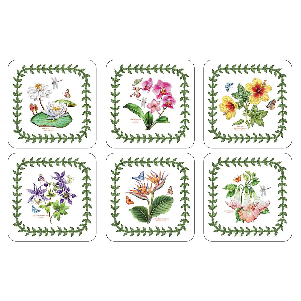 Exotic Botanic Garden Set of 6 Coasters