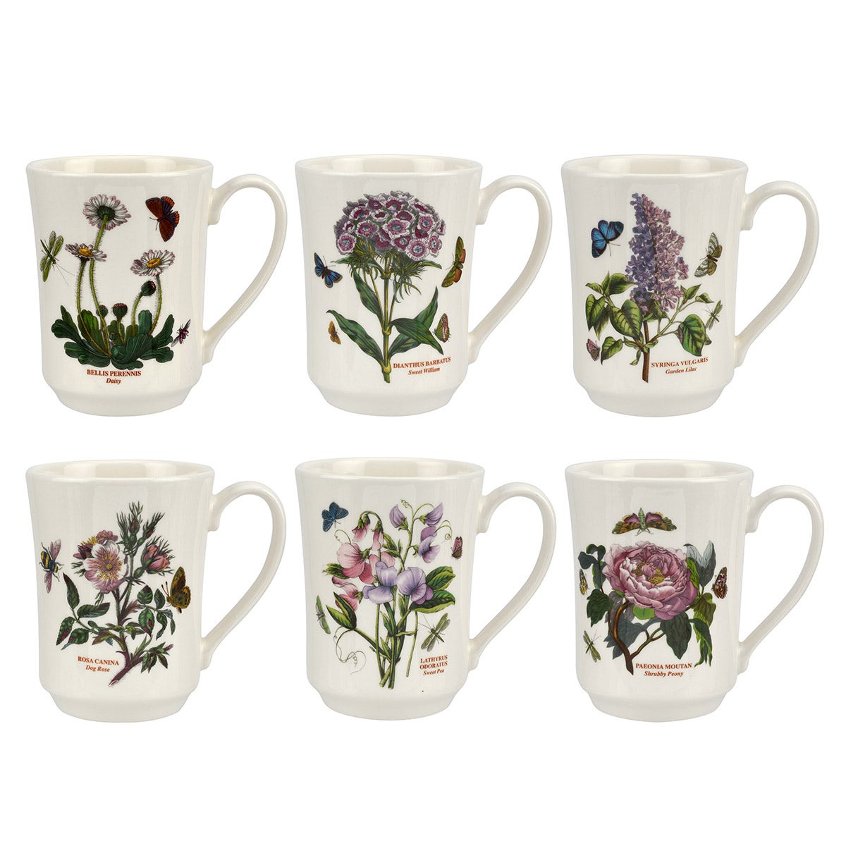 Botanic Garden Set of 6 Flared Tankard Mugs