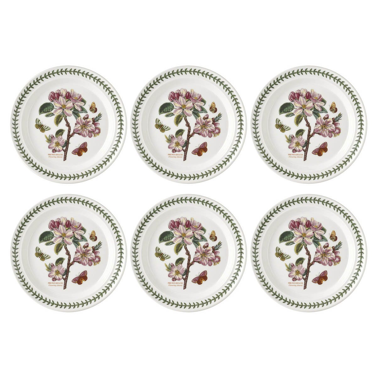 Botanic Garden Flowering Almond Dinner Plates