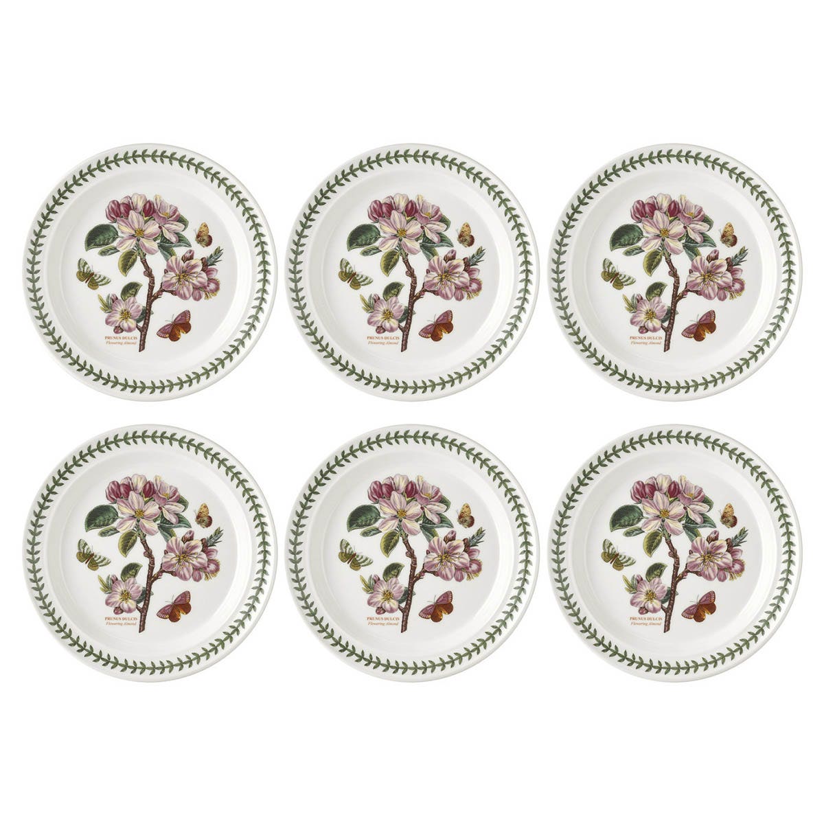 Botanic Garden Flowering Almond Dinner Plates