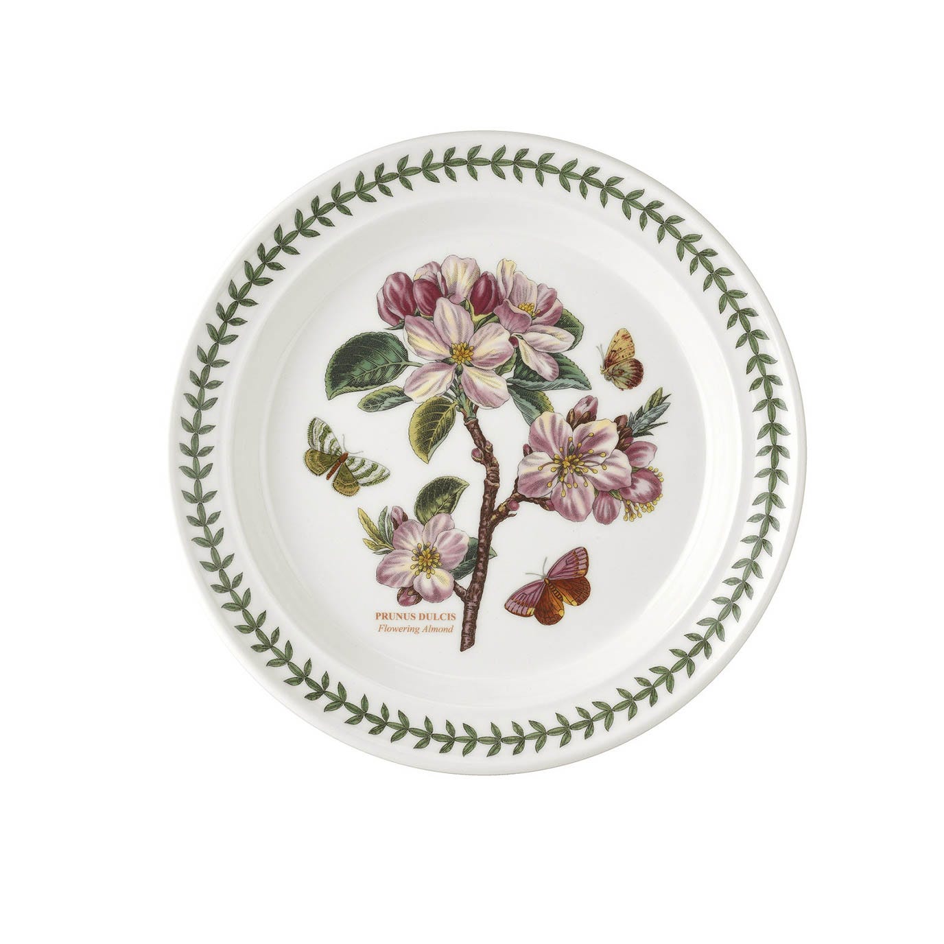 Botanic Garden Flowering Almond Dinner Plate