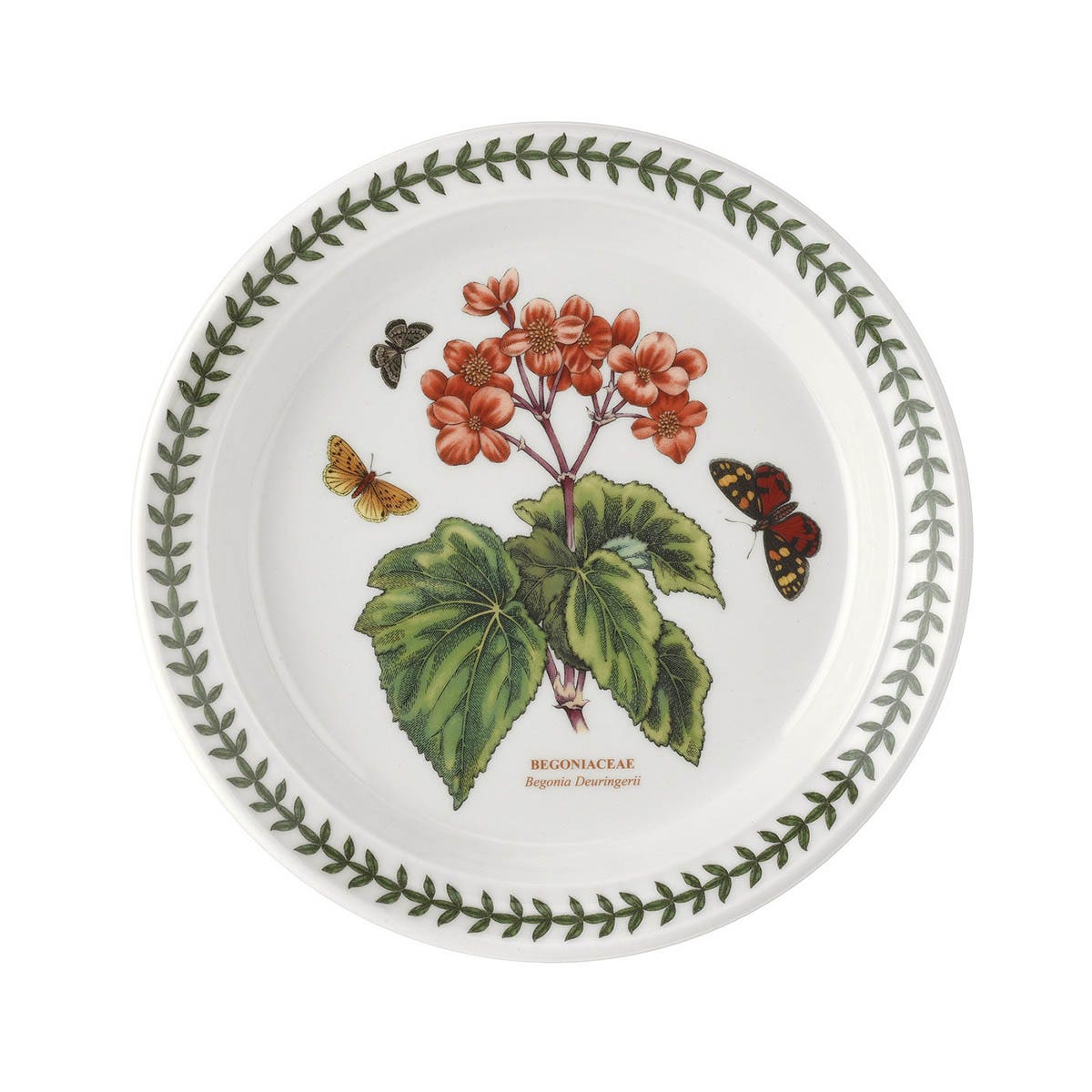 Botanic Garden Begonia Plate Set, 20cm