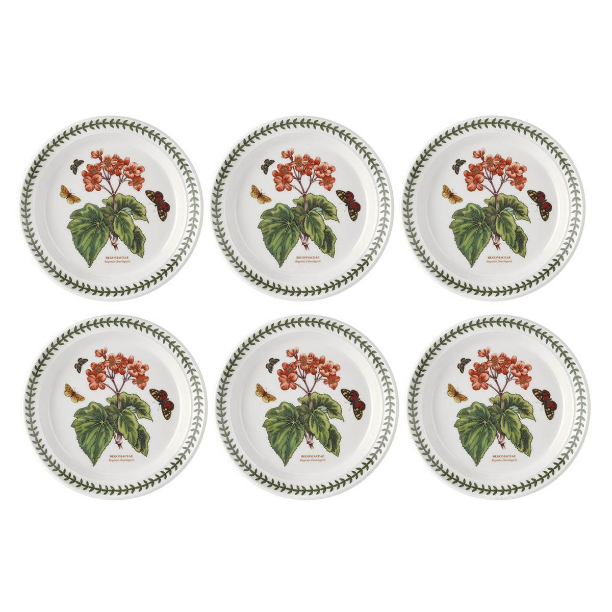 Botanic Garden Begonia Plate Set, 20cm