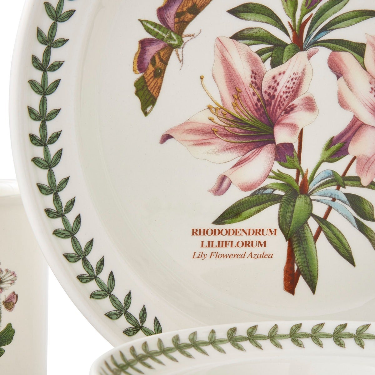 Botanic Garden 16 Piece Dinner Set