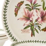 Botanic Garden 12 Piece Dinner Set