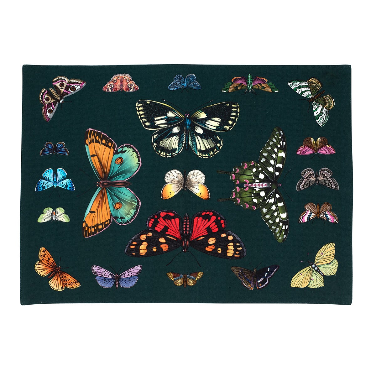 Botanic Garden Harmony Textile Placemat