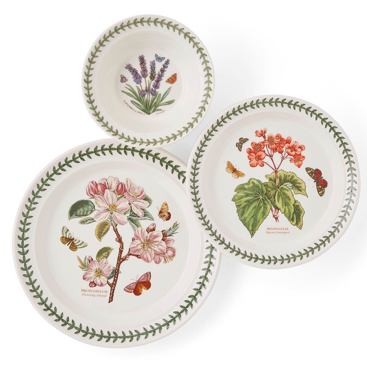 Botanic Garden 12 Piece Set, Online Exclusive