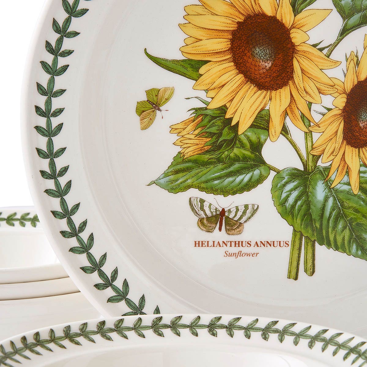 Botanic Garden 12 Piece Dinner Set