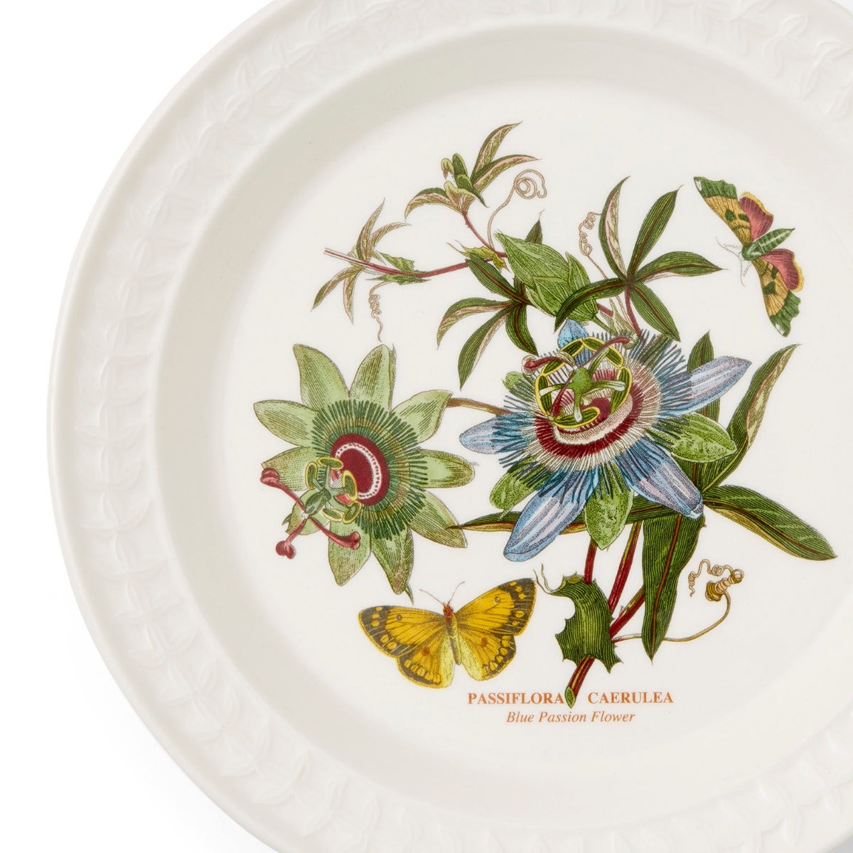 Botanic Garden Papilio Amber Dinner Plate