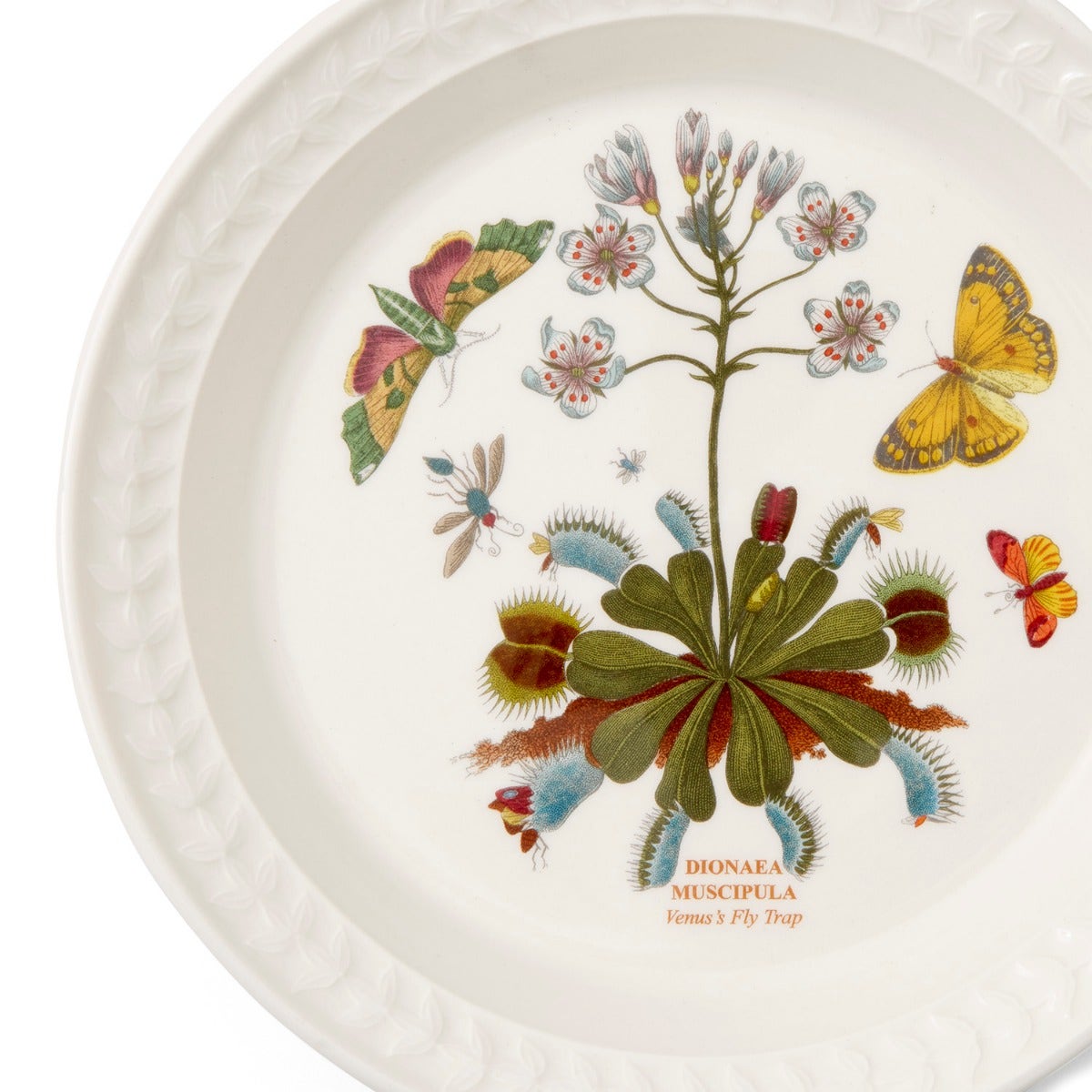 Botanic Garden Papilio Amber Side Plate