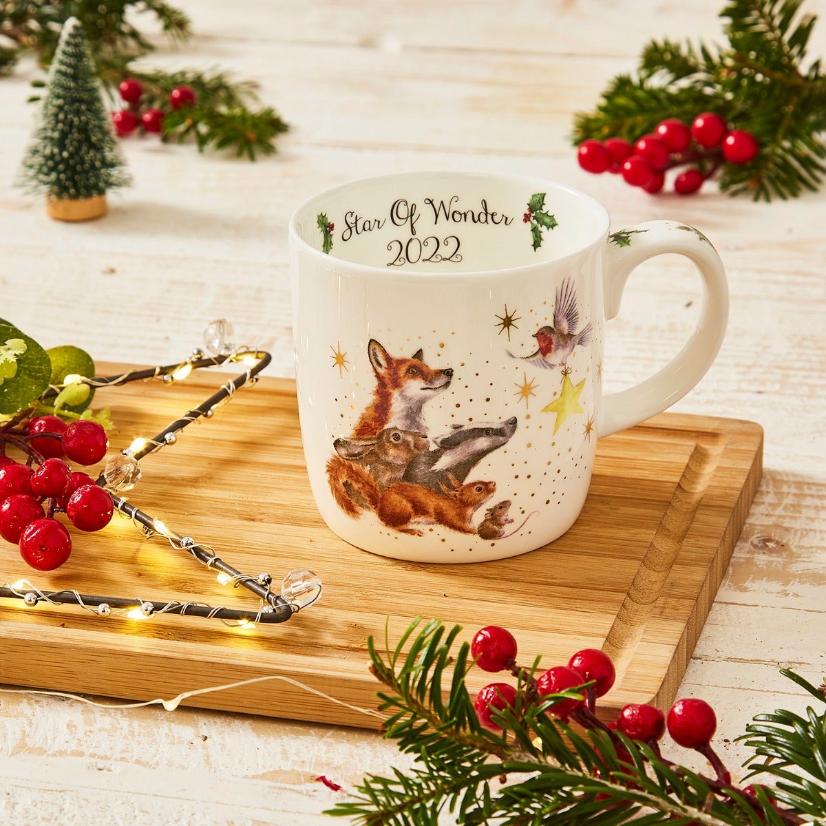 Wrendale Designs Annual Star of Wonder Mug