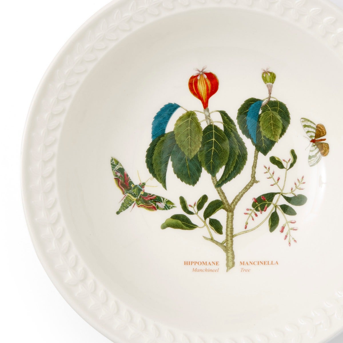 Botanic Garden Papilio Emerald Pasta Bowl