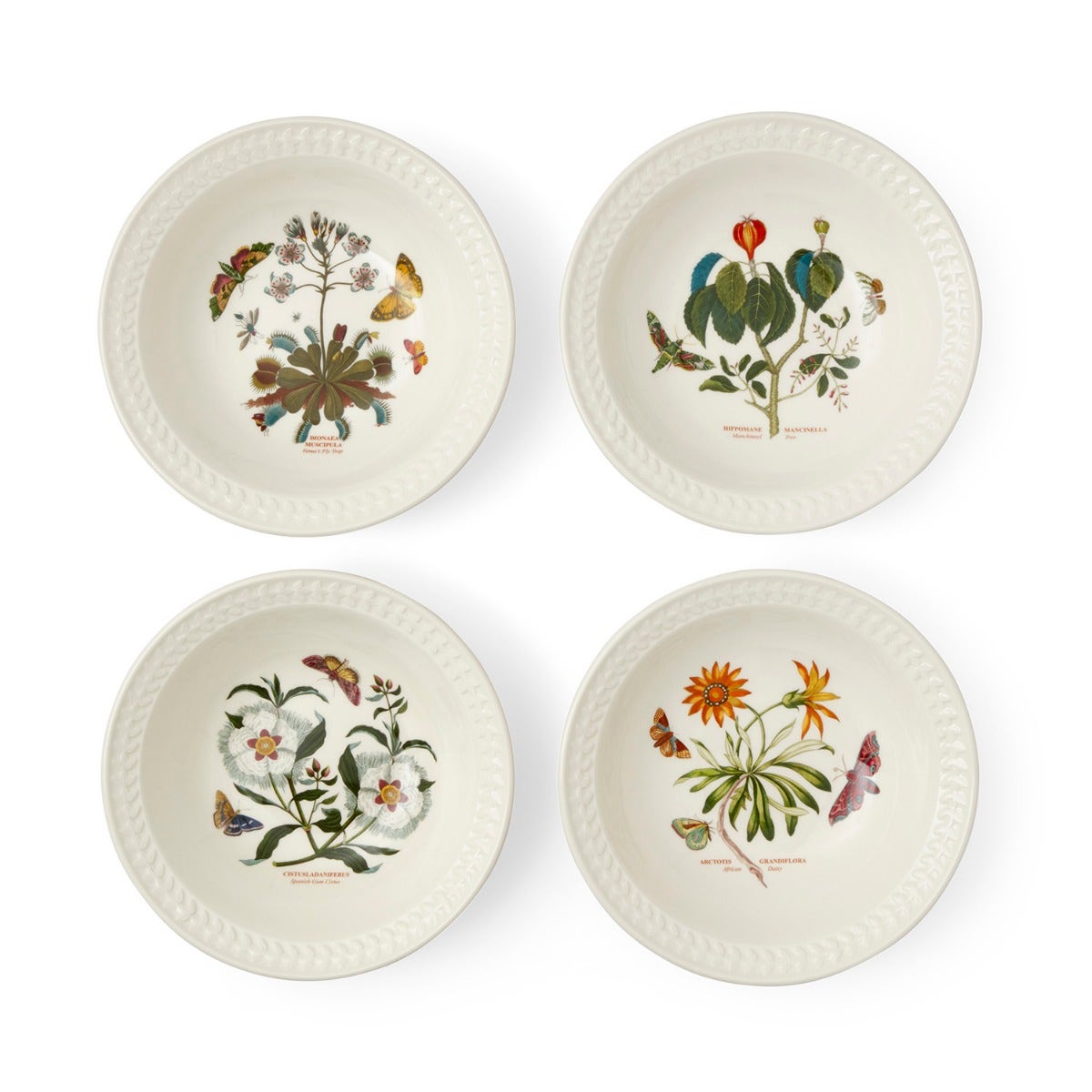 Botanic Garden Papilio set of 4 Pasta Bowls