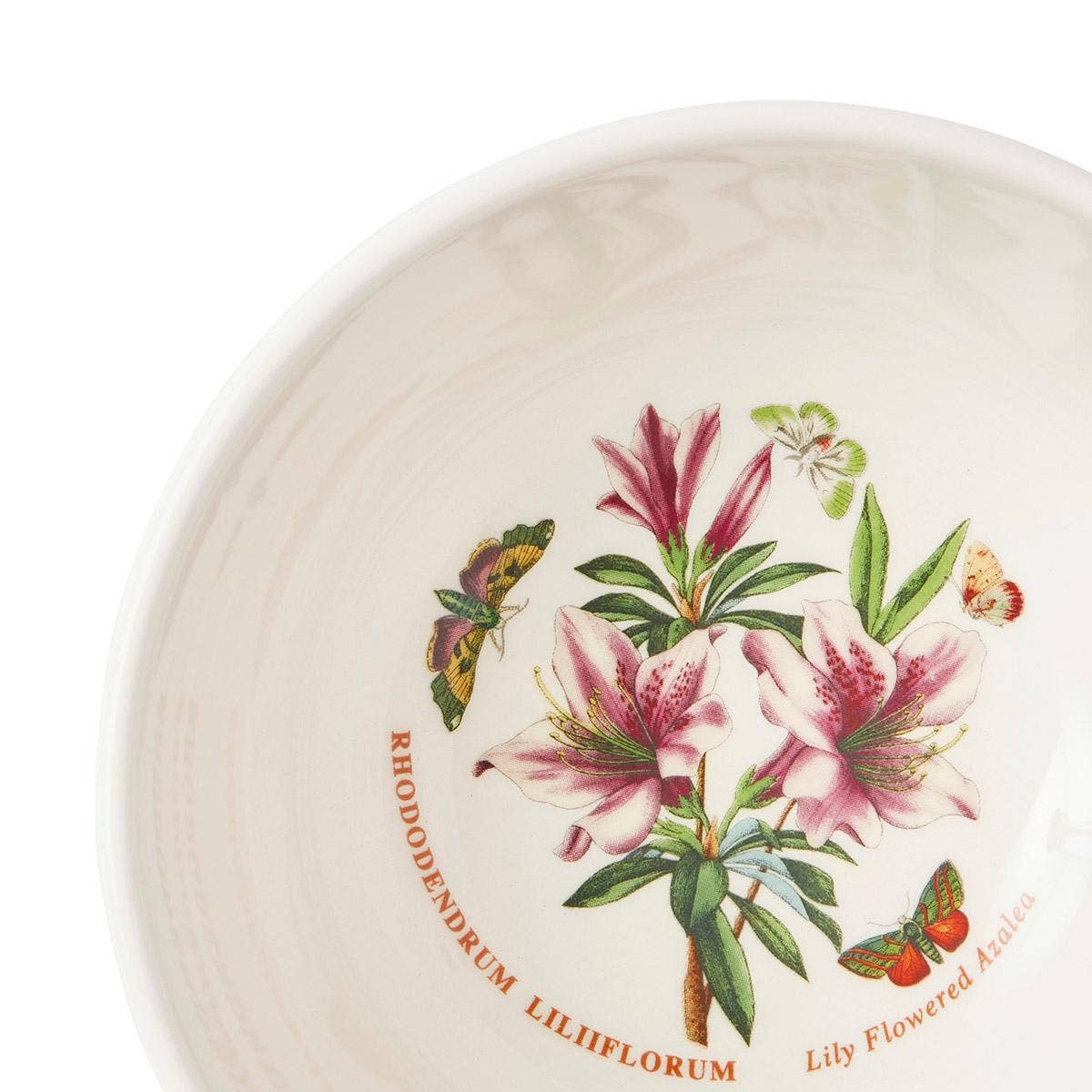 Botanic Garden Meadow Set of 6, 5.5