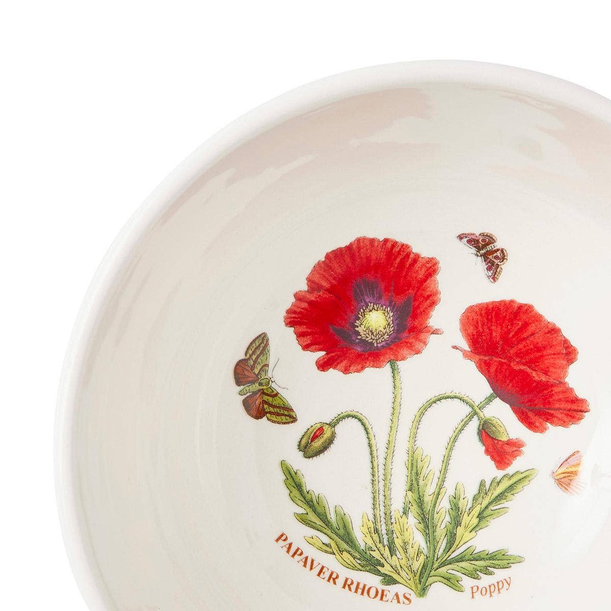 Botanic Garden Meadow 5.5