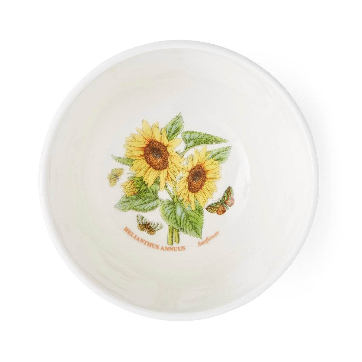 Botanic Garden Meadow 5.5