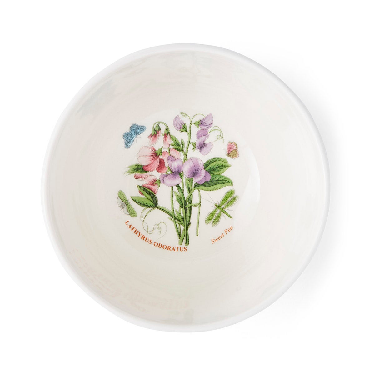 Botanic Garden Meadow 5.5