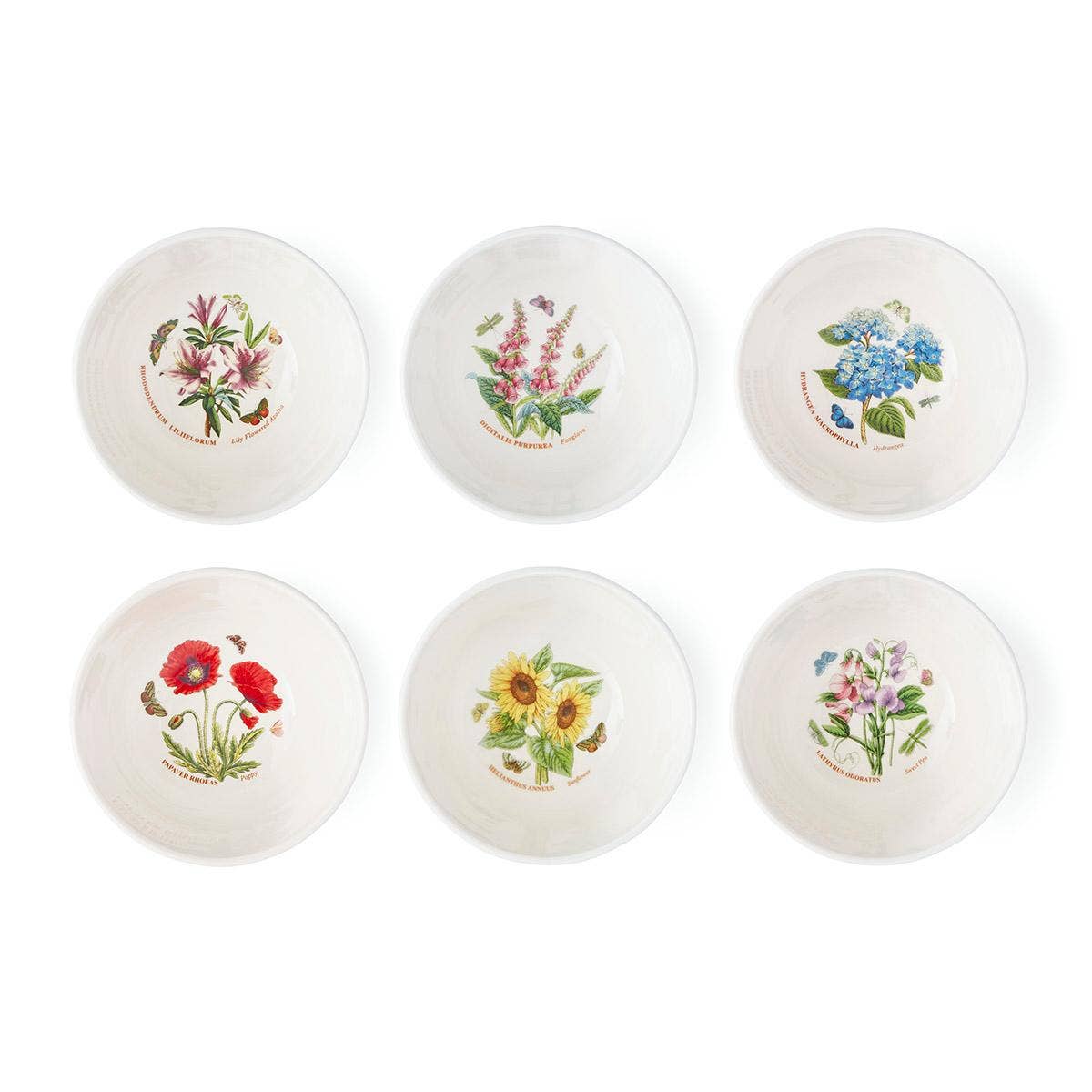 Botanic Garden Meadow Set of 6, 7