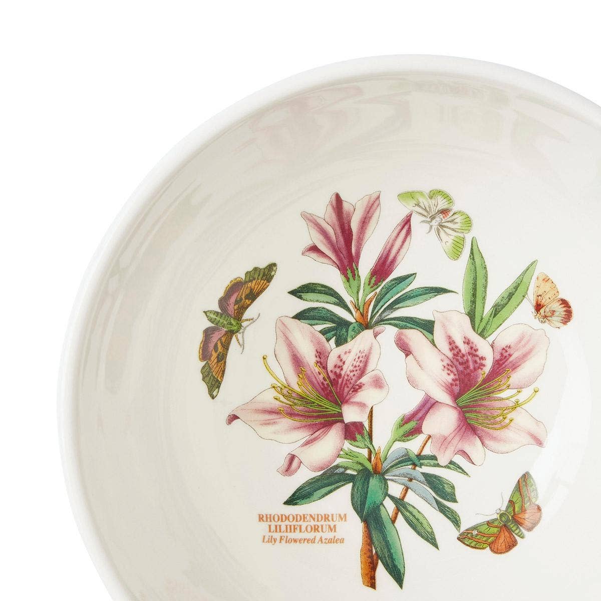Botanic Garden Meadow Set of 6, 7