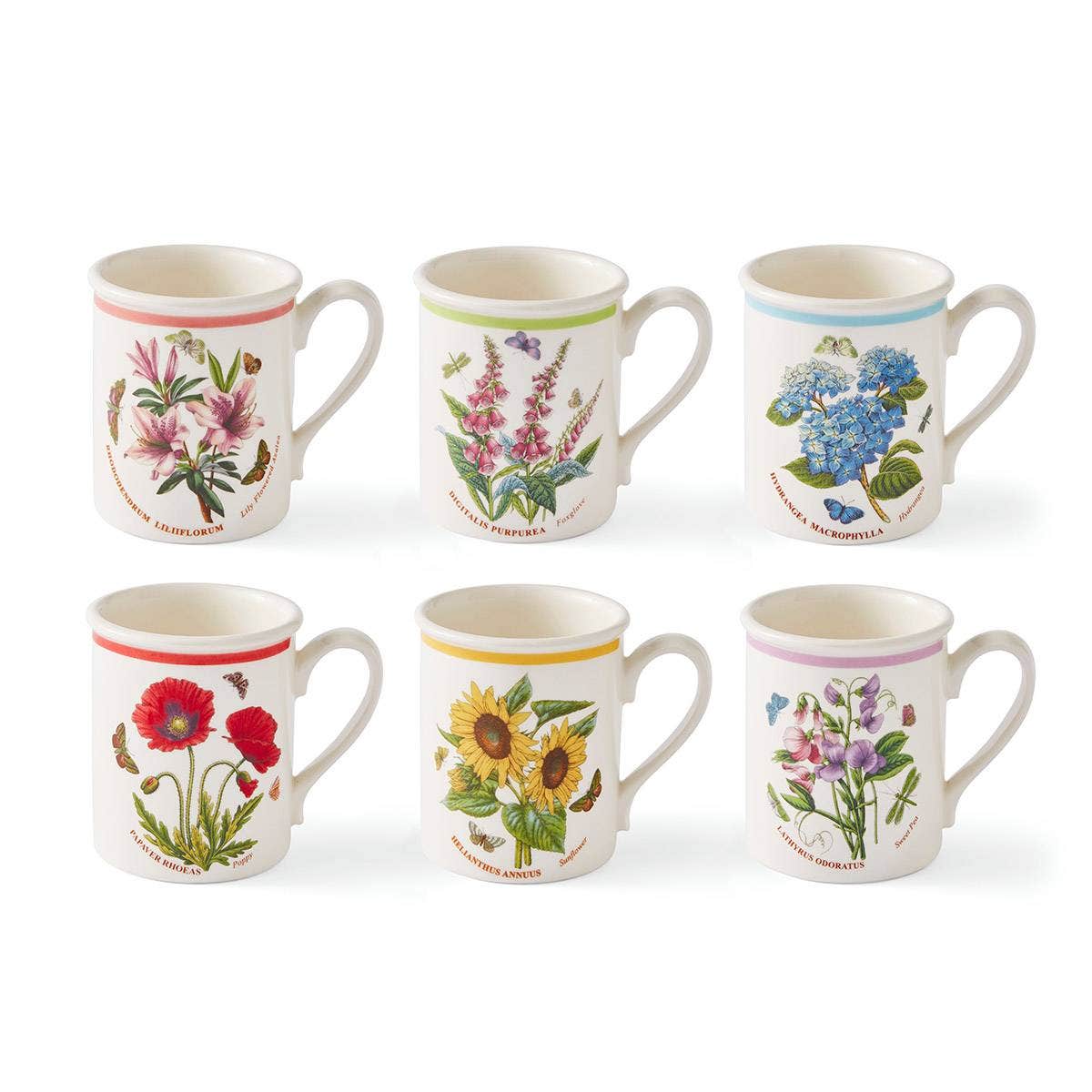 Botanic Garden Meadow Set of 6 Breakfast Mugs, Assorted