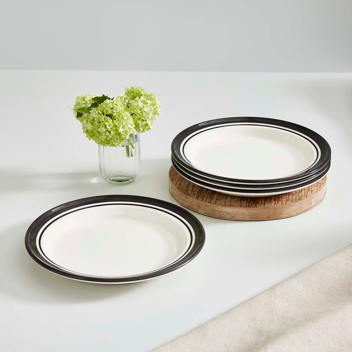 Potter's Stripe Set of 4 Dinner Plates, Black