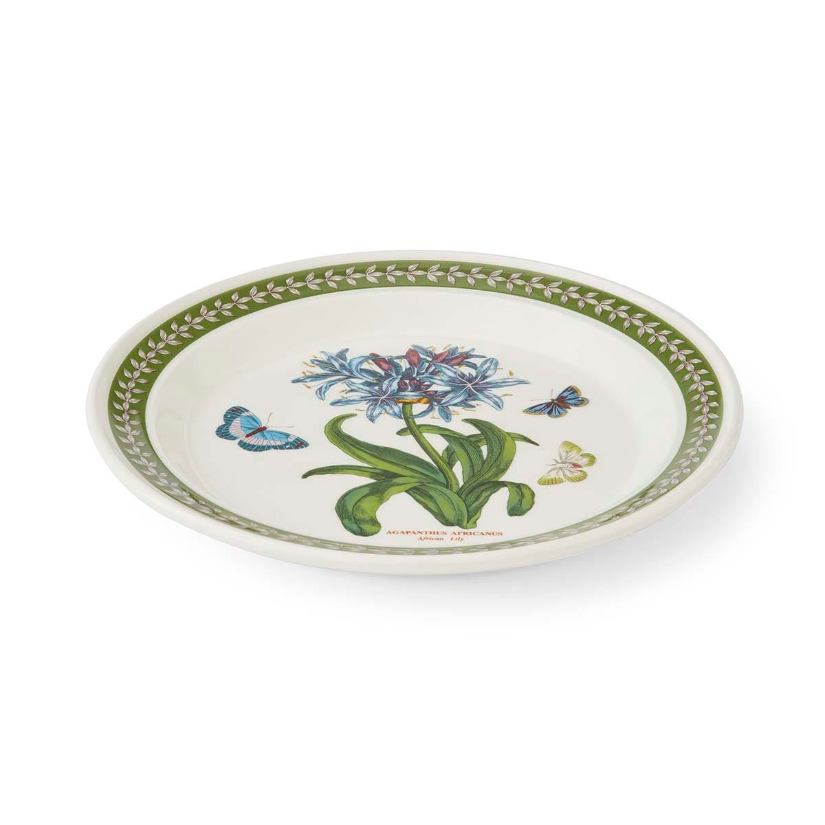 Botanic Garden Etchings, set of 6 Dinner Plates