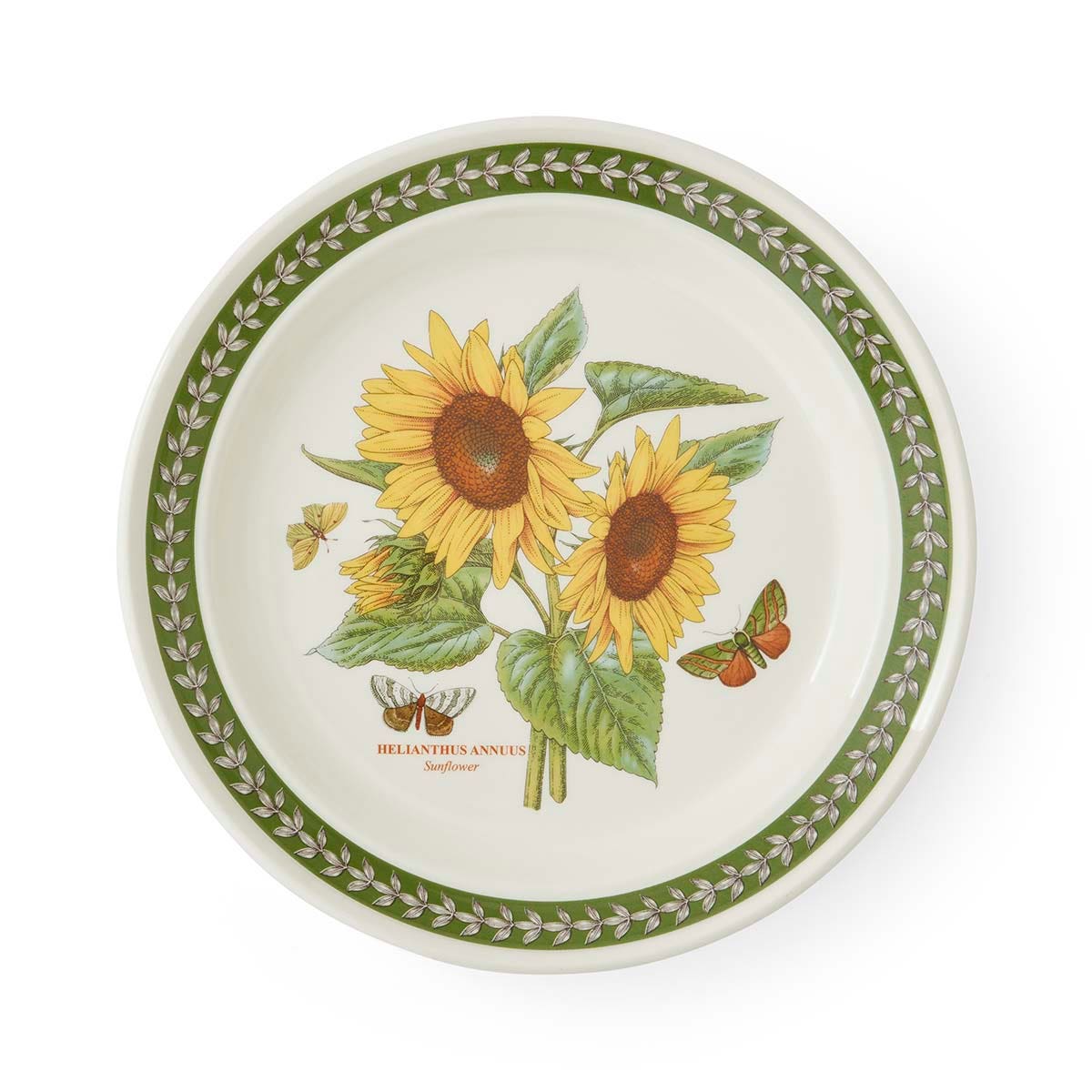 Botanic Garden Etchings Dinner Plate, Sunflower