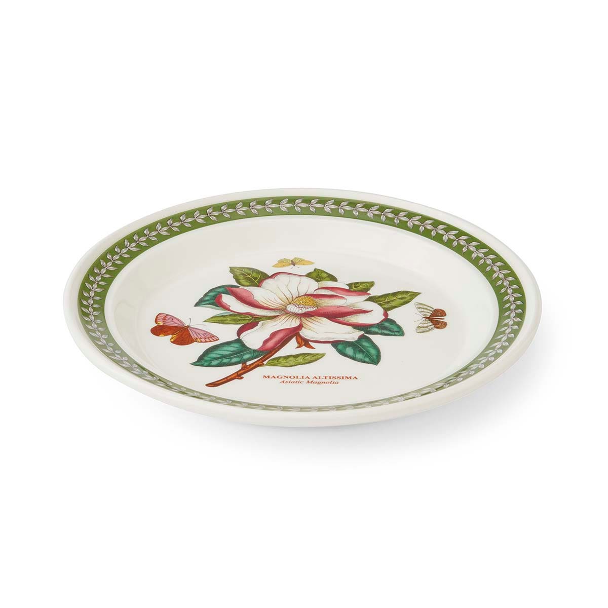 Botanic Garden Etchings Dinner Plate, Magnolia