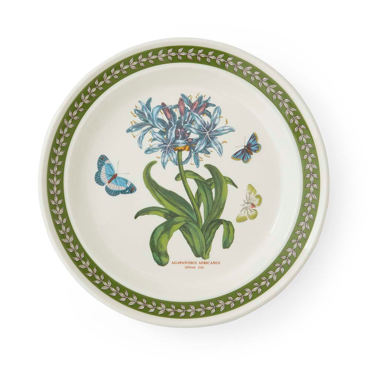 Botanic Garden Etchings Dinner Plate, African Lily