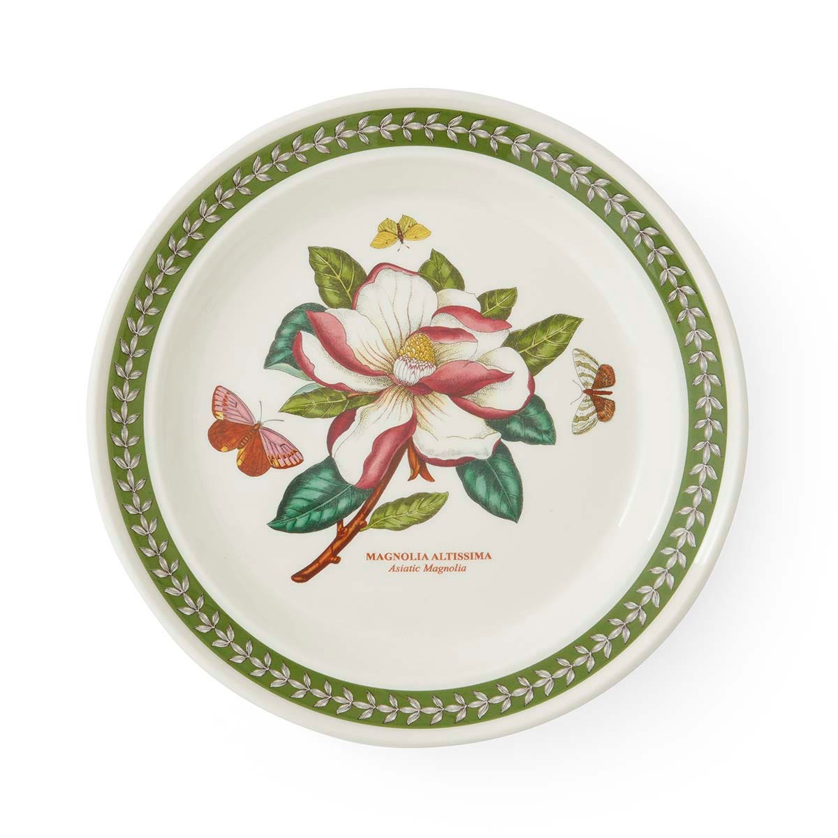 Botanic Garden Etchings, set of 6 Dinner Plates