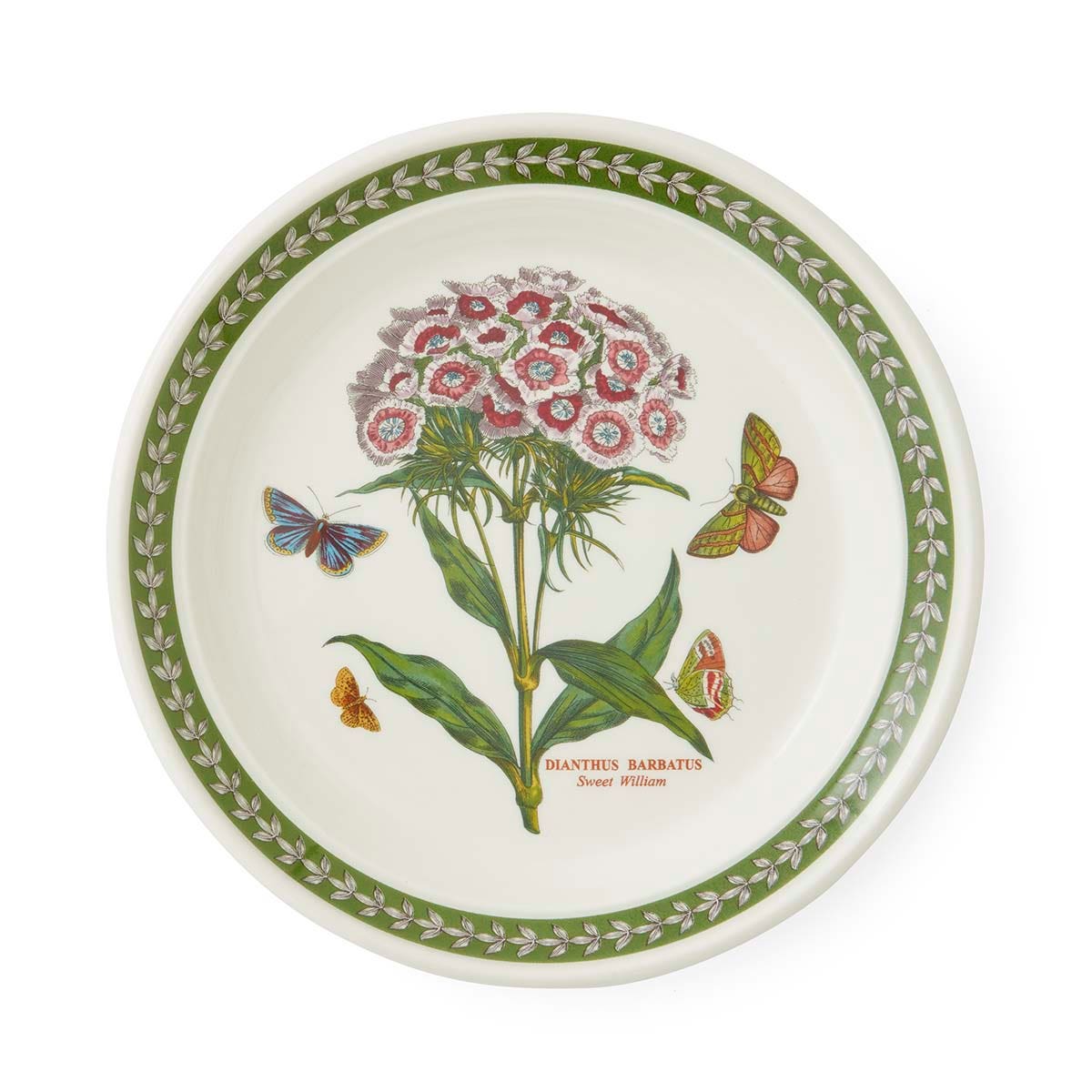 Botanic Garden Etchings, set of 6, 8 inch Plates