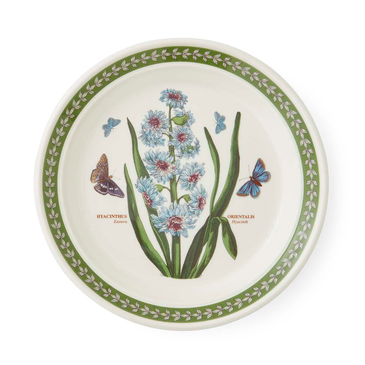 Botanic Garden Etchings 8 Inch Plate, Hyacinth