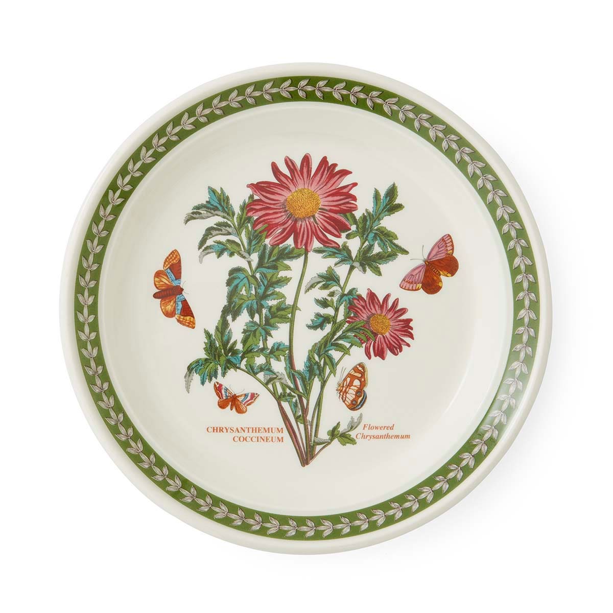 Botanic Garden Etchings 8 Inch Plate, Chrysanthemum