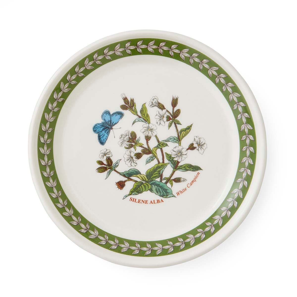 Botanic Garden Etchings Bread Plate, White Campion