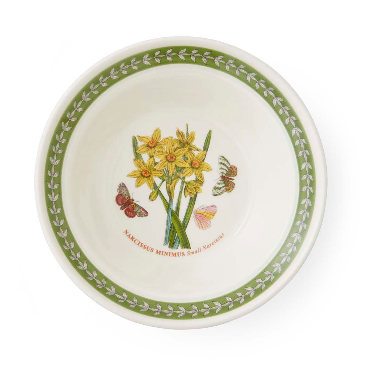 Botanic Garden Etchings Set of 6 Oatmeal Bowls