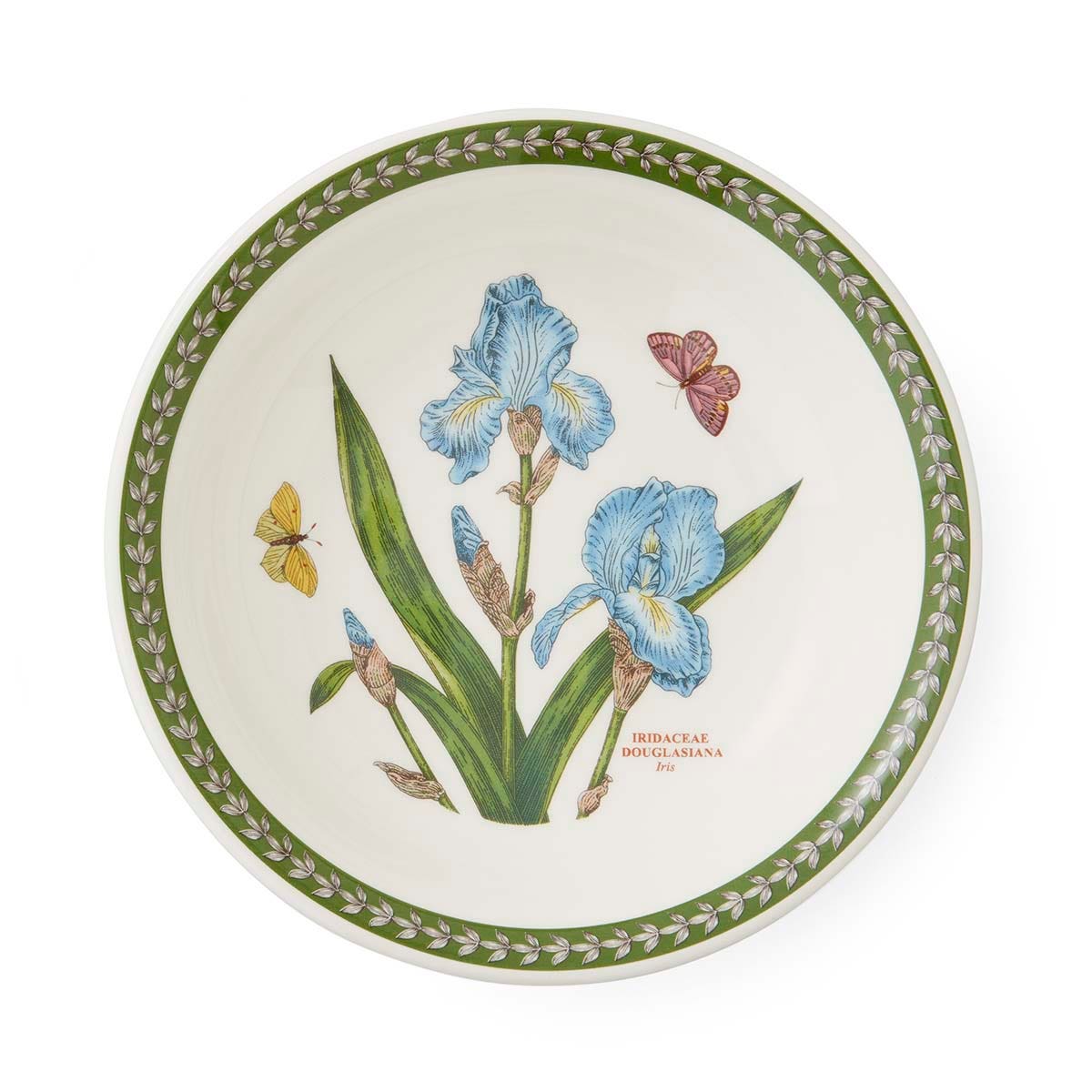 Botanic Garden Etchings Pasta Bowl, Iris