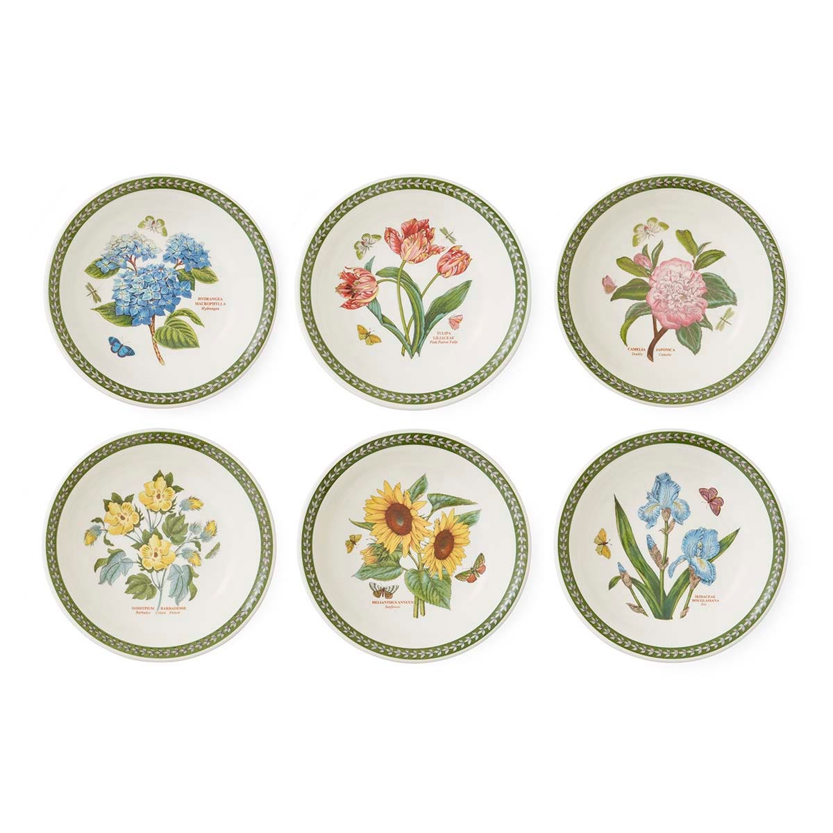 Botanic Garden Etchings set of 6 Pasta Bowls