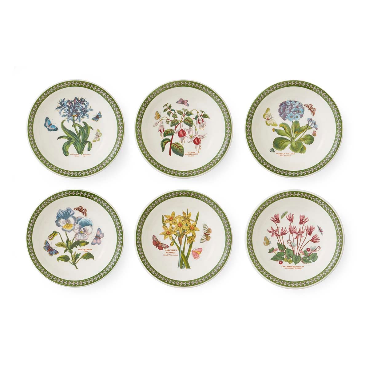 Botanic Garden Etchings Set of 6, 7 inch Bowls