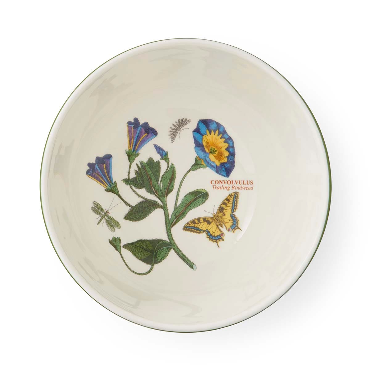 Botanic Garden Etchings 7 Inch Stacking Bowl, Convolvulus