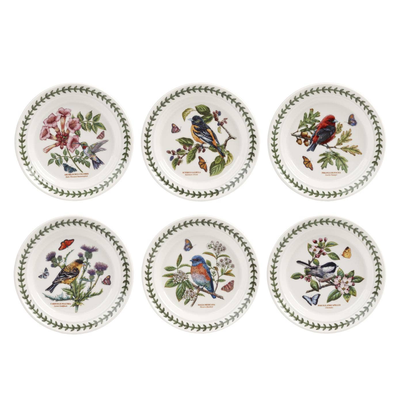 Portmeirion Botanic Garden Birds Plate 6 inch Set of 6