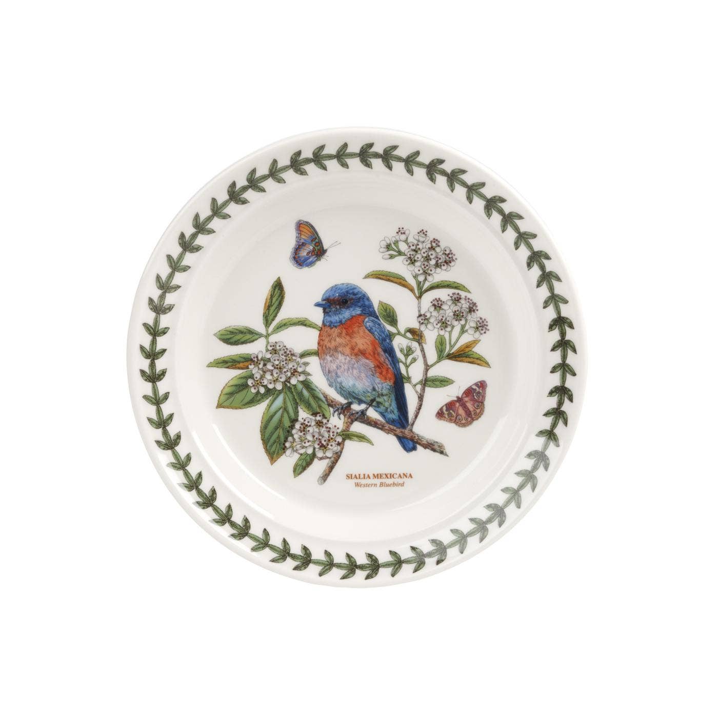 Portmeirion Botanic Garden Birds Plate 6 inch West Bluebird