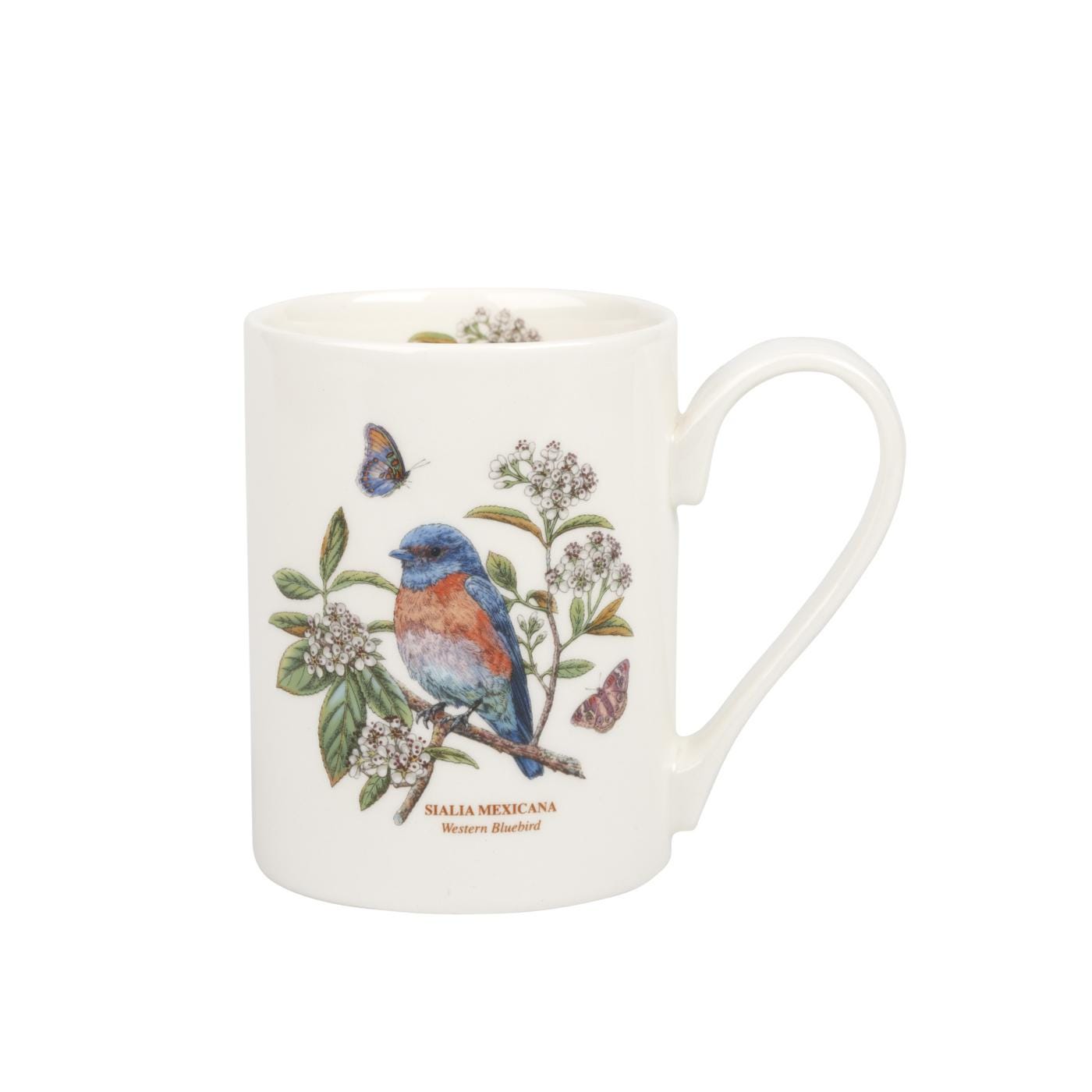 Portmeirion Botanic Garden Birds Coffee Mug West Bluebird