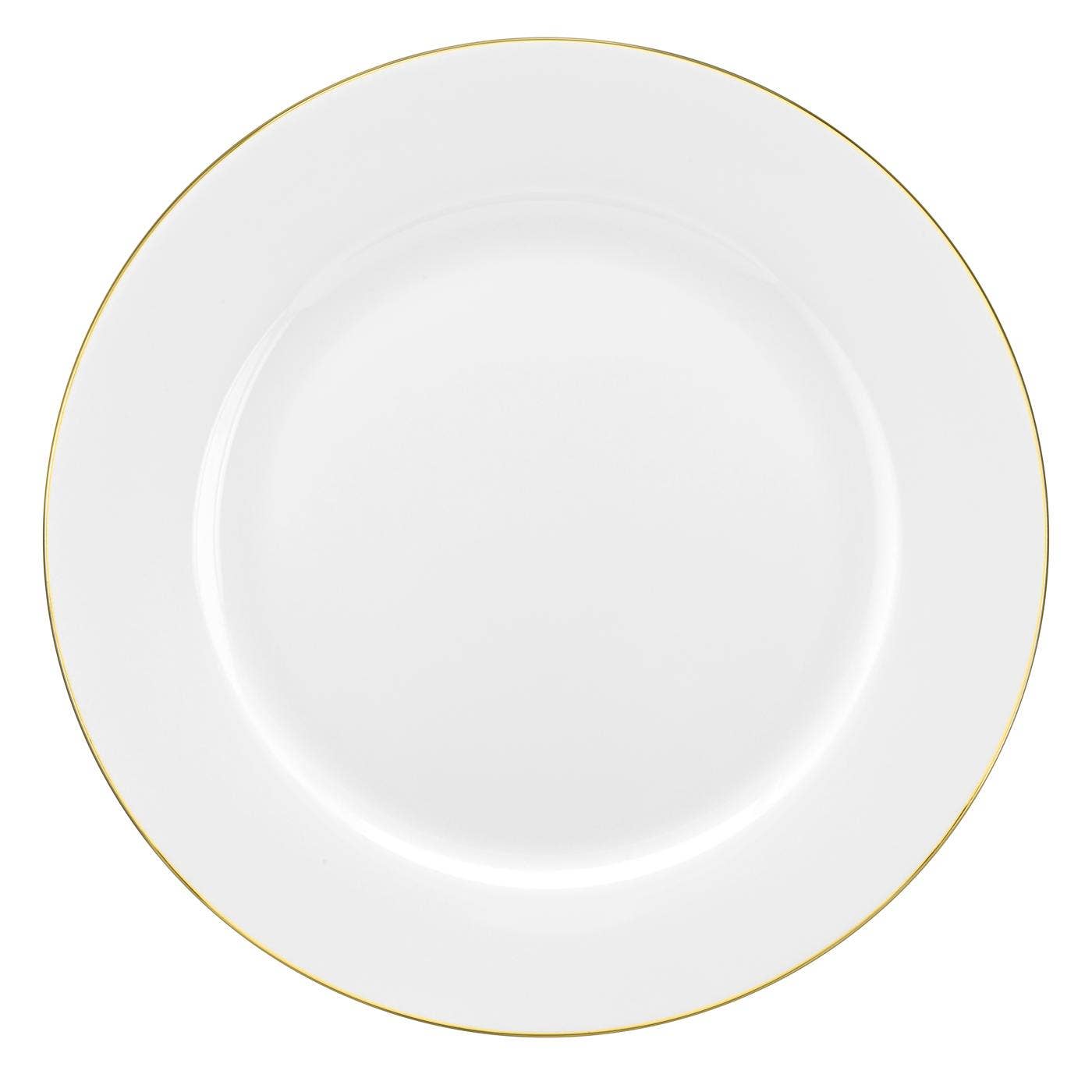 Royal Worcester Serendipity Gold Dinner Plate Set of 4