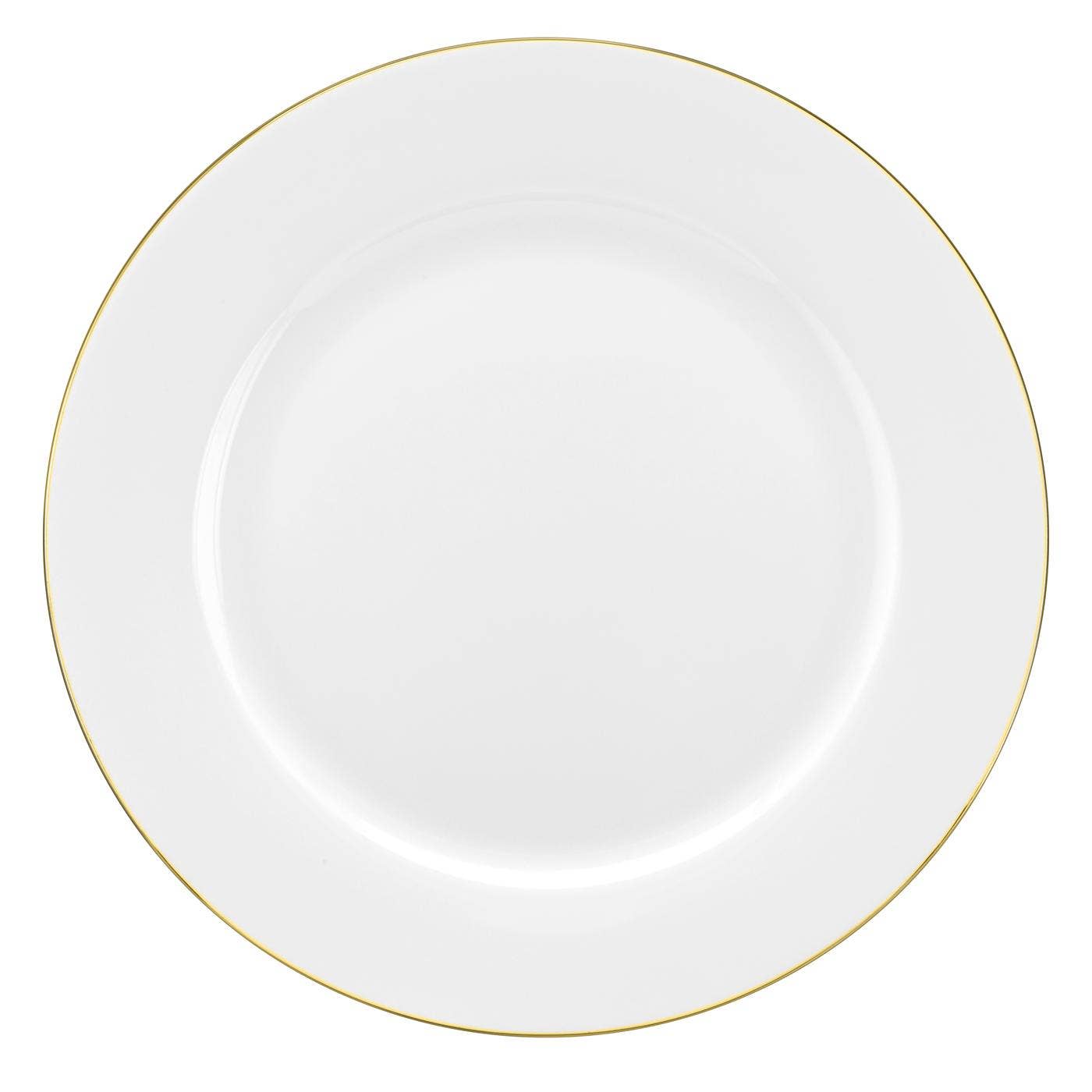 Royal Worcester Serendipity Gold Dinner Plate Set of 4