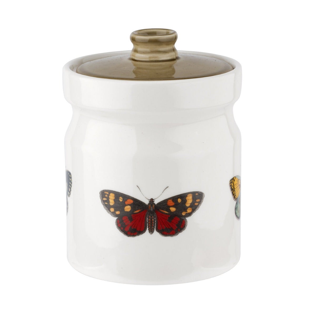 Seconds Portmeirion Botanic Garden Harmony 5.5 Inch Canister