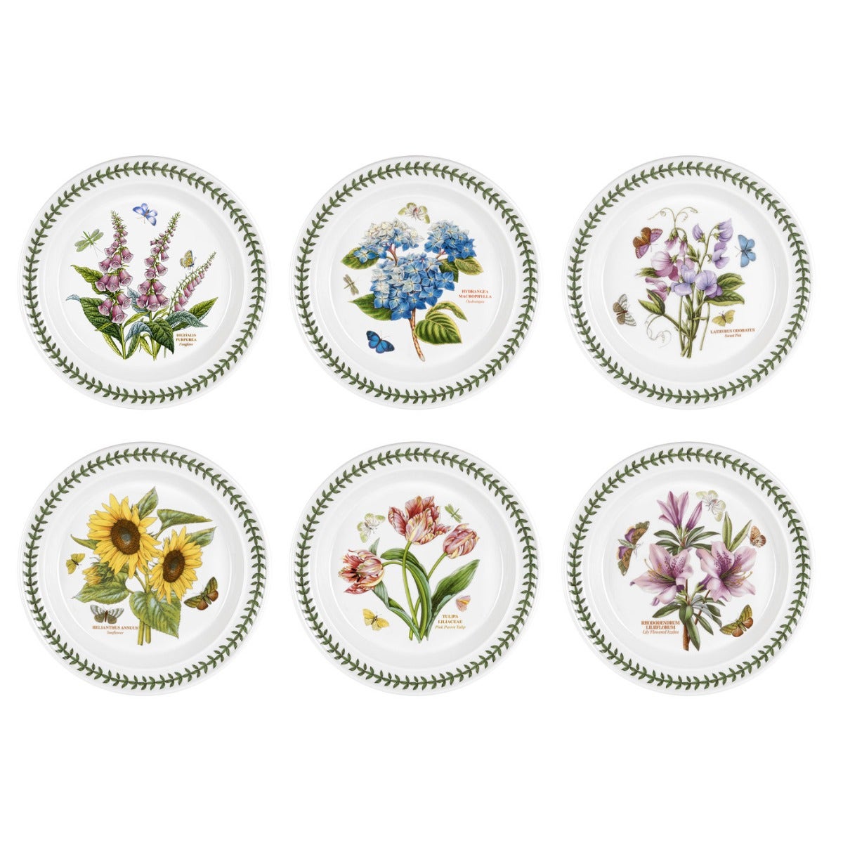 Seconds Portmeirion Botanic Garden Set Of 6 10 Inch Plates - No Guarantee of Flower Motif