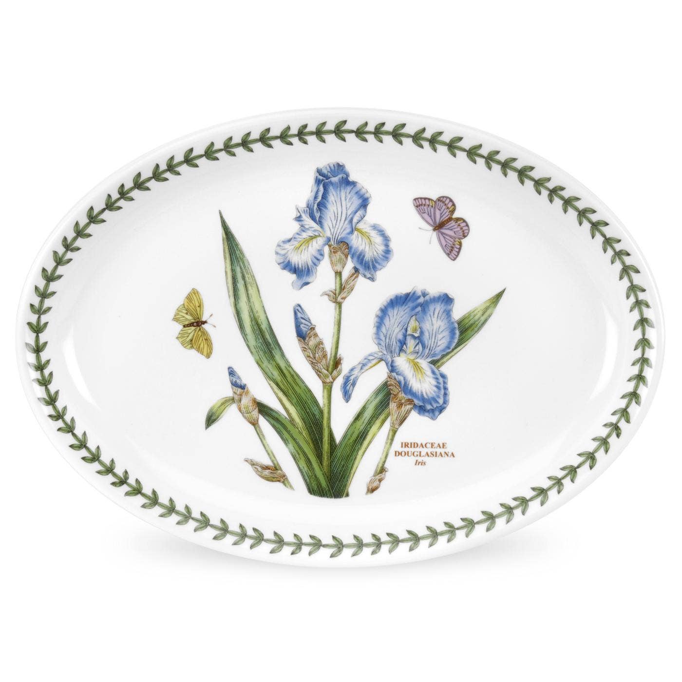 Seconds Portmeirion Botanic Garden  Set of 6 11 Inch Oval Plate - No Guarantee of Flower Design