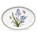 Seconds Portmeirion Botanic Garden  Set of 6 11 Inch Oval Plate - No Guarantee of Flower Design