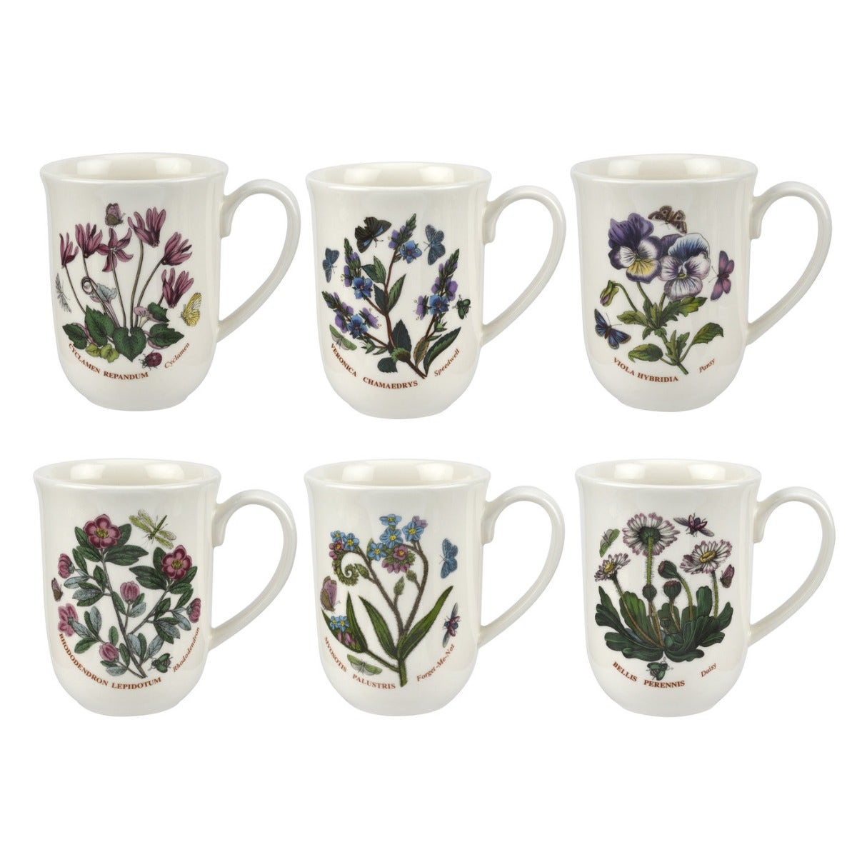Seconds Portmeirion Botanic Garden Set of 6 Tulip Beaker - No Guarantee of Flower Design